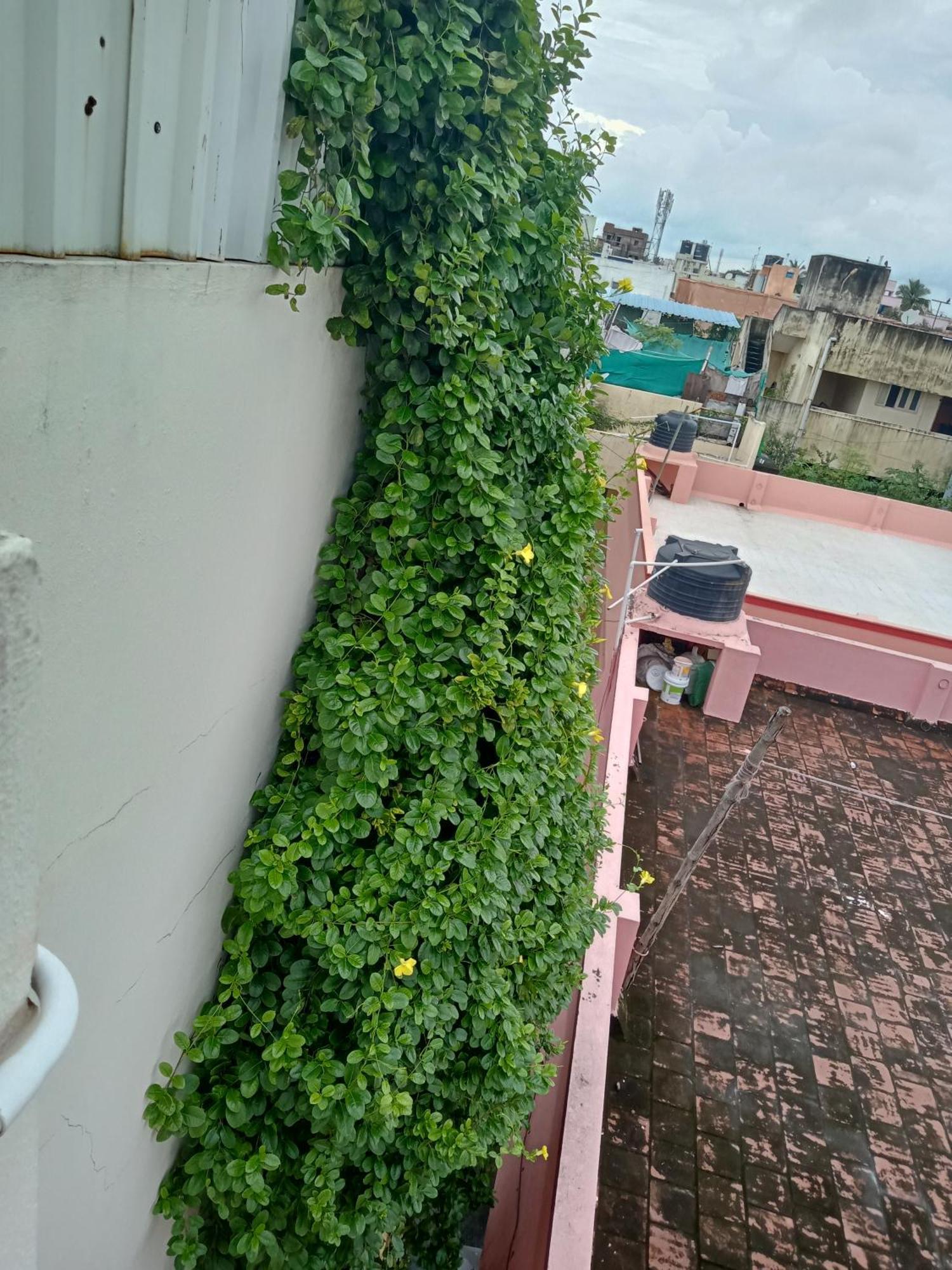 Allamanda Abode Aparthotel Chennai Esterno foto